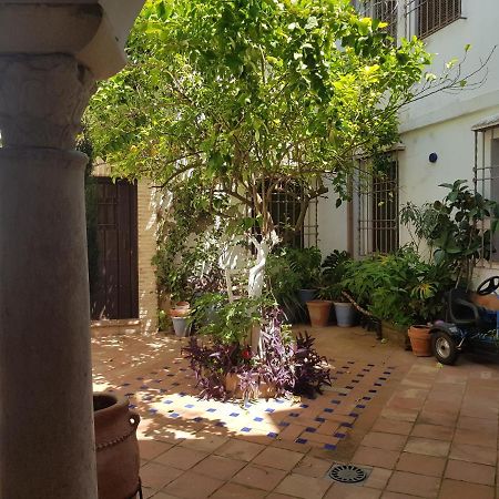 Casa Patio Los Suenos De Daury II Córdoba Exterior foto